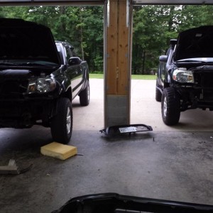 The swap began with PantherTaco