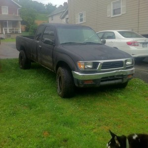 new taco