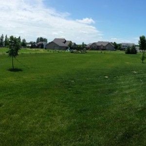 For the lawn thread.