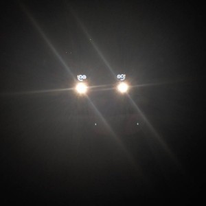 Boondock Bumper with Lights