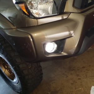 Fog Lights