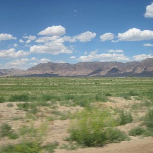 IMG_21173
