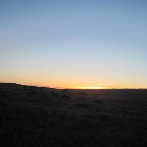 IMG_21466