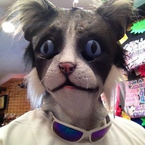 This was suppose to be grumpy cat. Looks more like scary cat :eek:
