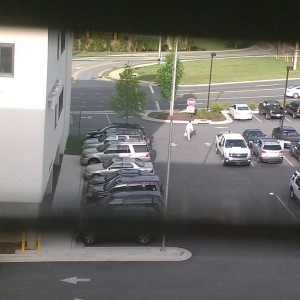 Another Gmdb parking in the driving lane. Smooth