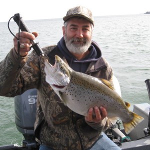 Lake Ontario Brown trout