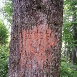 Found a treestand on our property. Left a kind note for them for next hunti