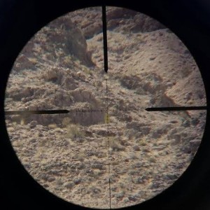 target1