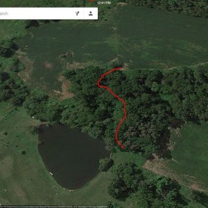 Finished the mtn bike trail