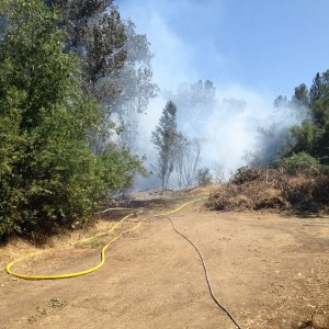 Nothing like a wildfire in a tinderbox, Coloma CA.