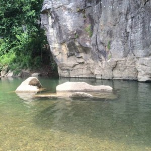 image8207