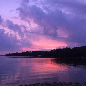 image8221
