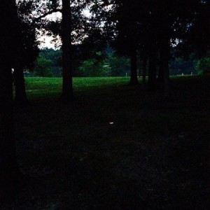 image8222