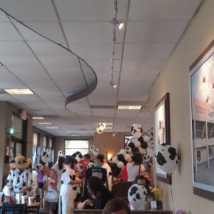 Cow appreciation day at Chic-fil-A