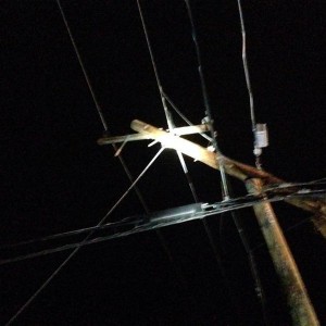 image8397