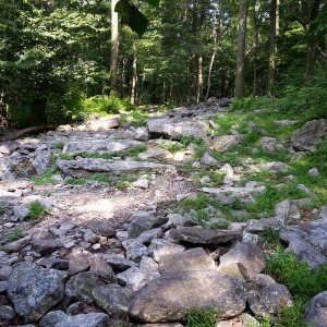 20140712_165900