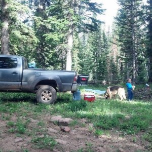 Camping on Red Table