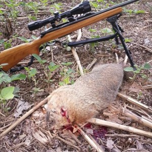 Longest kill shot to date. 425 yds.