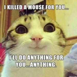 killed