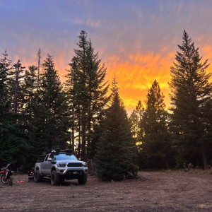 2013 Toyota Tacoma