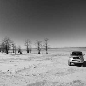 The Lost Tacoma