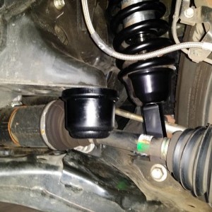Wheeler's Super Bumps