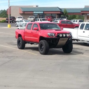 spotted in az