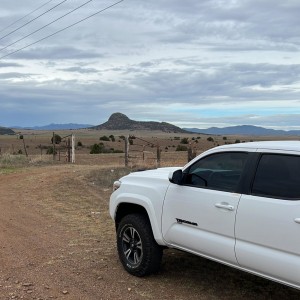 Tacoma in the woods