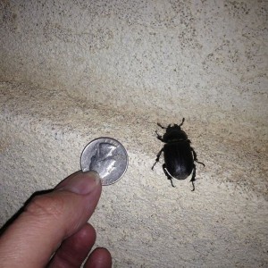 DA FUQ IS THIS. I about died