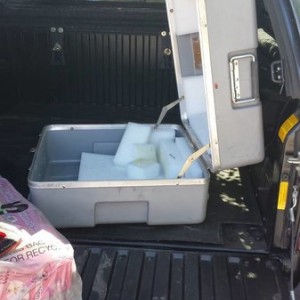 boxes