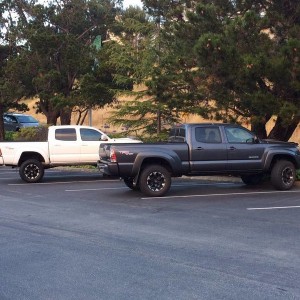 Taco siblings