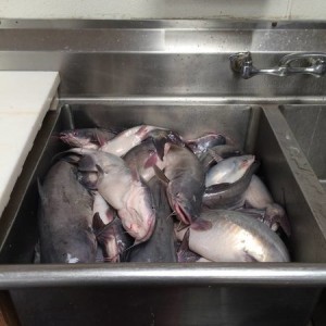 image8710