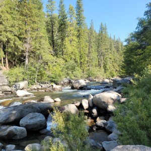 Calming river at camp