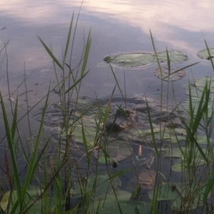 image8757