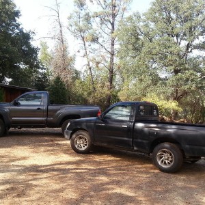 My two Tacoma's