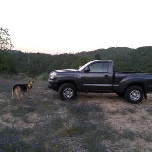My German Sheperd and i with the Yota out cruising the high country