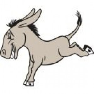 donkey