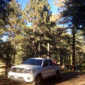 New Taco