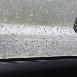 image8876