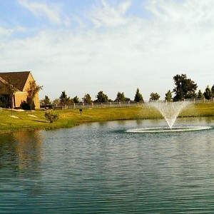 Dropped a lighted fountain in my pond.....