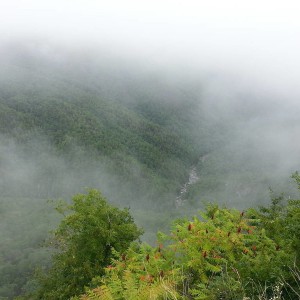 20140802_125654