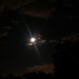 Another moon shot.