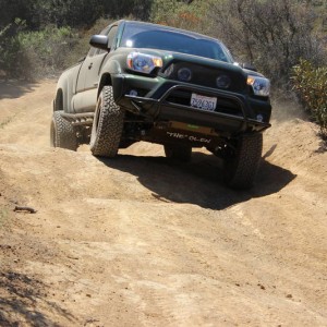 tacoma cow mountain