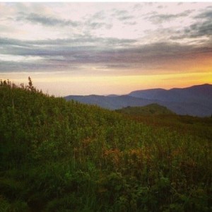 photo_3476