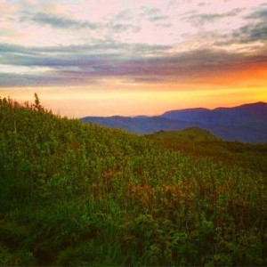 photo_3477