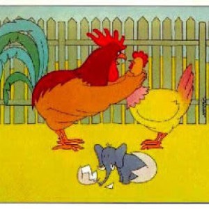FUNNYchicken_1