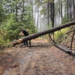 No chainsaw so we had to earn dinner