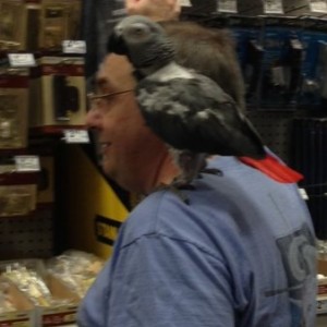 Lowes today
