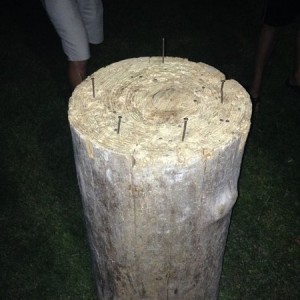 Playing a little stump