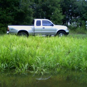 2001 Tacoma Prerunner SR5 Xtracab Stepside by water